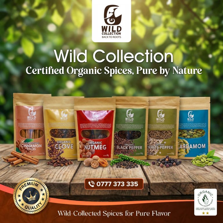 WildCollection018